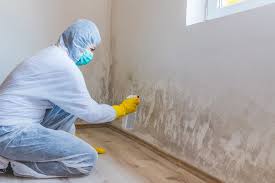 Best Mold Remediation for Healthcare Facilities  in Shady Hollow, TX